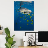 インドネシアのジンベエザメと魚 ポスター (ホームオフィス)