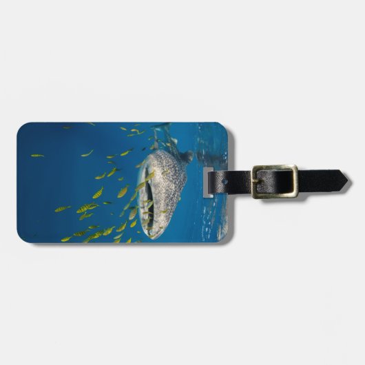 インドネシアのジンベエザメと魚 ラゲッジタグ (正面横)
