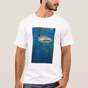 インドネシアのジンベエザメと魚 Tシャツ