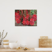 インドネシアのワックスジンジャー ポスター (キッチン)