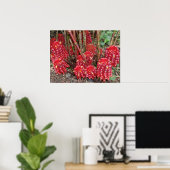 インドネシアのワックスジンジャー ポスター (ホームオフィス)