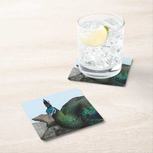 インドネシアの孔雀の接客。コースター スクエアペーパーコースター (インサイチュ)