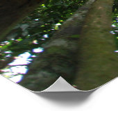 インドネシアの熱帯雨林 ポスター (角)