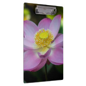 インドネシアの蓮の花 クリップボード (右)