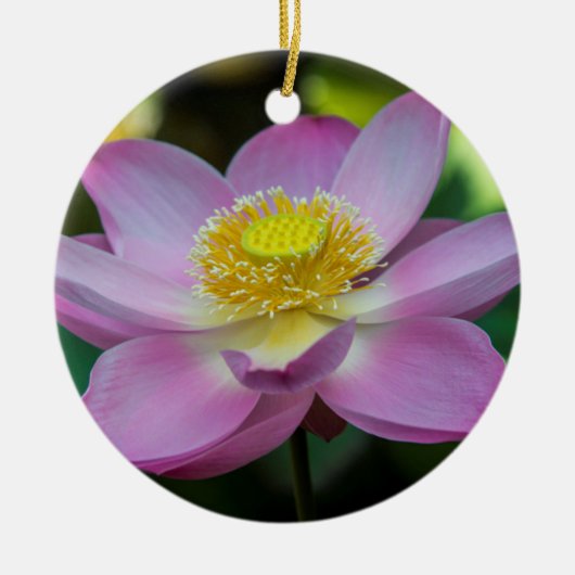 インドネシアの蓮の花 セラミックオーナメント (正面)