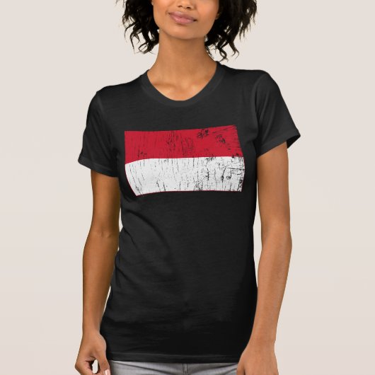 インドネシアのTシャツ Tシャツ (正面)