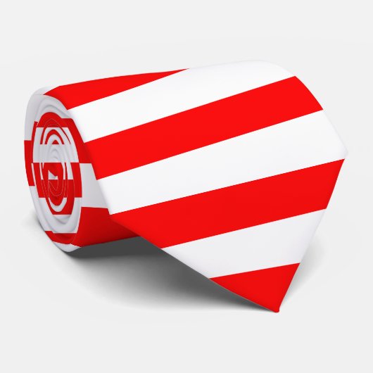 インドネシア国旗と提携 ネクタイ (ロール)