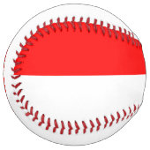 インドネシア国旗を掲げた愛国的なソフトボール ソフトボール (正面左)