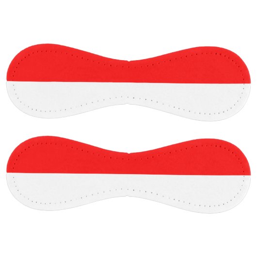 インドネシア国旗を掲げた愛国的なソフトボール ソフトボール (パネル)