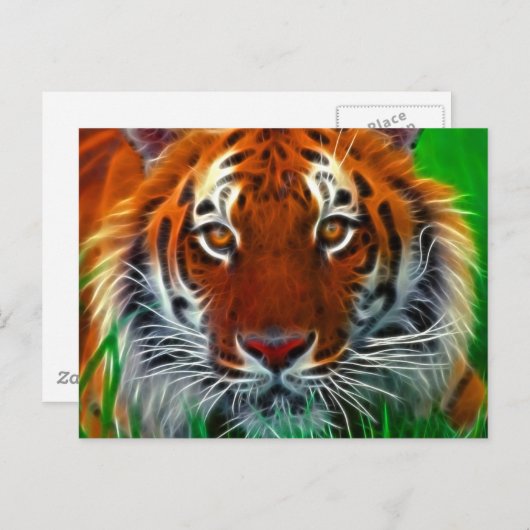 インドネシア産の希少スマトラトラ ポストカード (正面/裏面)