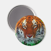 インドネシア産の希少スマトラトラ マグネット (正面/裏面)