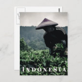 インドネシア茶フィールドの作業者、旅行はがき ポストカード (正面/裏面)