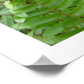 インドネシア・カリマンタンのノジーの隣人 ポスター (角)