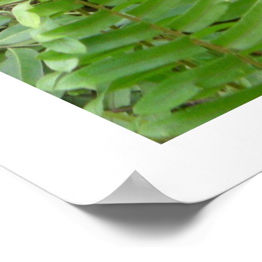 インドネシア・カリマンタンのノジーの隣人 ポスター (角)