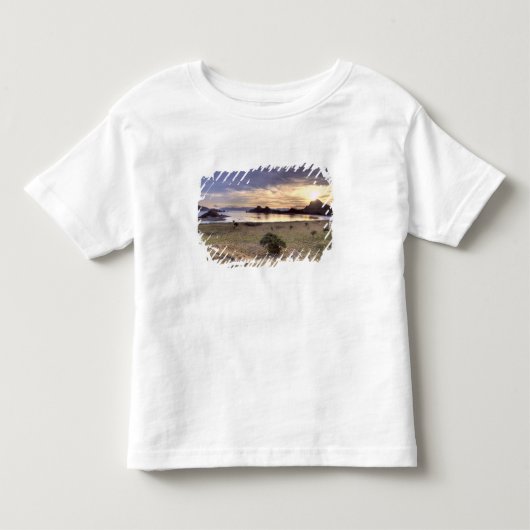 インドネシア、コモド国立公園。公園の島々のひとつでの日没 トドラーTシャツ (正面)