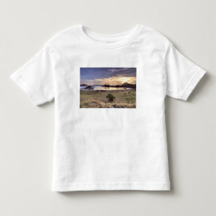 インドネシア、コモド国立公園。公園の島々のひとつに沈む夕日 トドラーTシャツ
