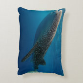 インドネシア,ジンベエザメのプロフィール アクセントクッション (裏面(縦))