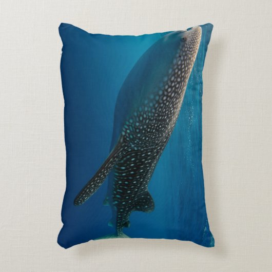 インドネシア,ジンベエザメのプロフィール アクセントクッション (正面(垂直))