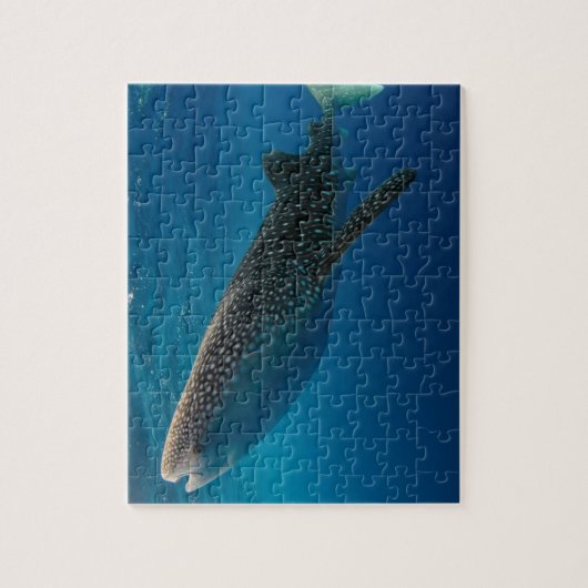 インドネシア,ジンベエザメのプロフィール ジグソーパズル (縦)