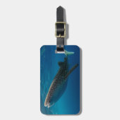 インドネシア,ジンベエザメのプロフィール ラゲッジタグ (正面縦)