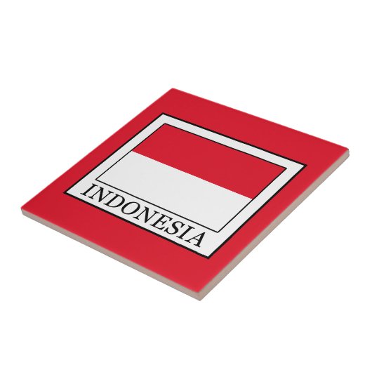 インドネシア タイル (側面)