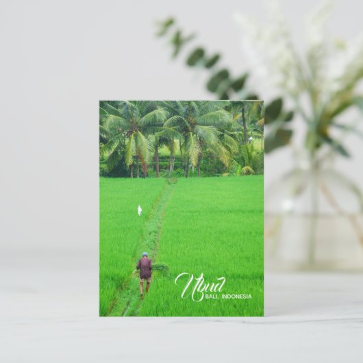 インドネシア,バリ,ウブドの田んぼの農家 案内ポストカード (スタンド正面)
