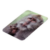 インドネシア、バリ、ウブド、ロングテール・マカク マグネット (左側)