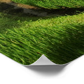 インドネシア、バリ |田んぼ ポスター (角)