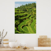 インドネシア、バリ |田んぼ ポスター (キッチン)