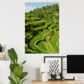 インドネシア、バリ |田んぼ ポスター (ホームオフィス)