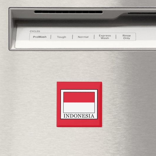 インドネシア マグネット (インサイチュ (食洗機))
