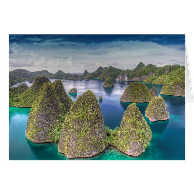 インドネシア ワヤグ島の風景 (正面横)