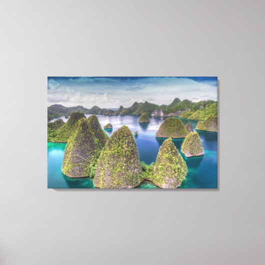 インドネシア ワヤグ島の風景 キャンバスプリント (正面)