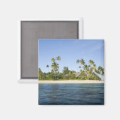 インドネシア、南スラウェシ州、ワカトビ マグネット (正面/裏面)