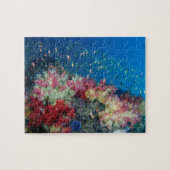 インドネシア,海中サンゴ礁 ジグソーパズル (横)
