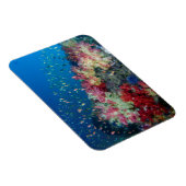 インドネシア，海中サンゴ礁 マグネット (右側)