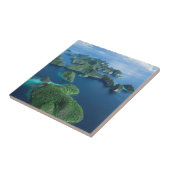 インドネシア、西パプアニューギニアラジャアンパト航空 タイル (側面)