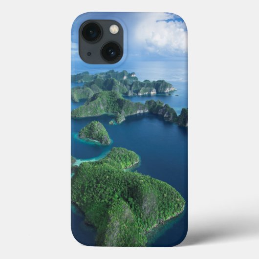 インドネシア、西パプア。エアオブラジャアンパット Case-Mate iPhoneケース (裏面)