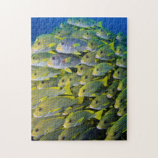 インドネシア。魚の群れ ジグソーパズル (縦)