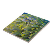 インドネシア。魚の群れ タイル (側面)