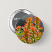 インドペイントブラシ 缶バッジ (正面&裏面)