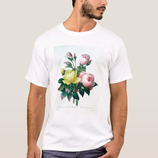 インドローザLuteaおよびローザ Tシャツ (正面)