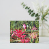 インド南部の赤スイレン ポストカード (スタンド正面)