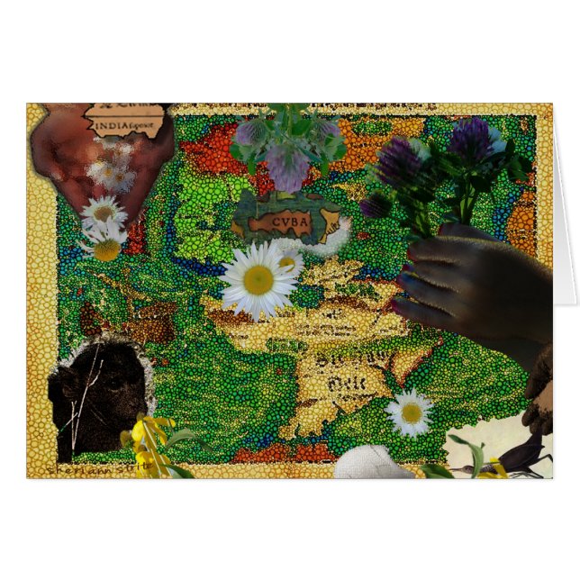 インド及びキューバ (正面横)