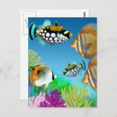 インド太平洋礁魚葉書 ポストカード (正面/裏面)