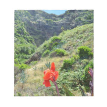 インド打撃(Cannaのインドのpurpurea)