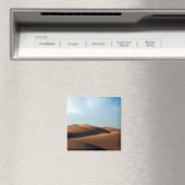 インド砂漠磁石 マグネット (インサイチュ (食洗機))