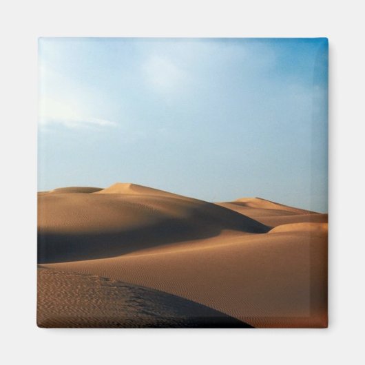 インド砂漠磁石 マグネット (正面)