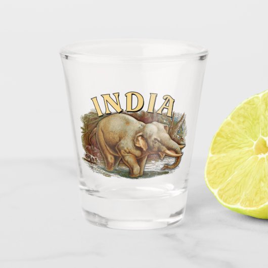 インド野生生物 – インディアンゾウ ショットグラス (正面)