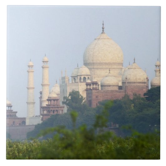インド、アグラ、タジ·マハル タイル (正面)